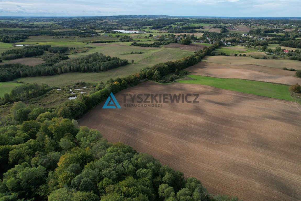 Działka rolna na sprzedaż Roztoka, Lipowa  21 125m2 Foto 7