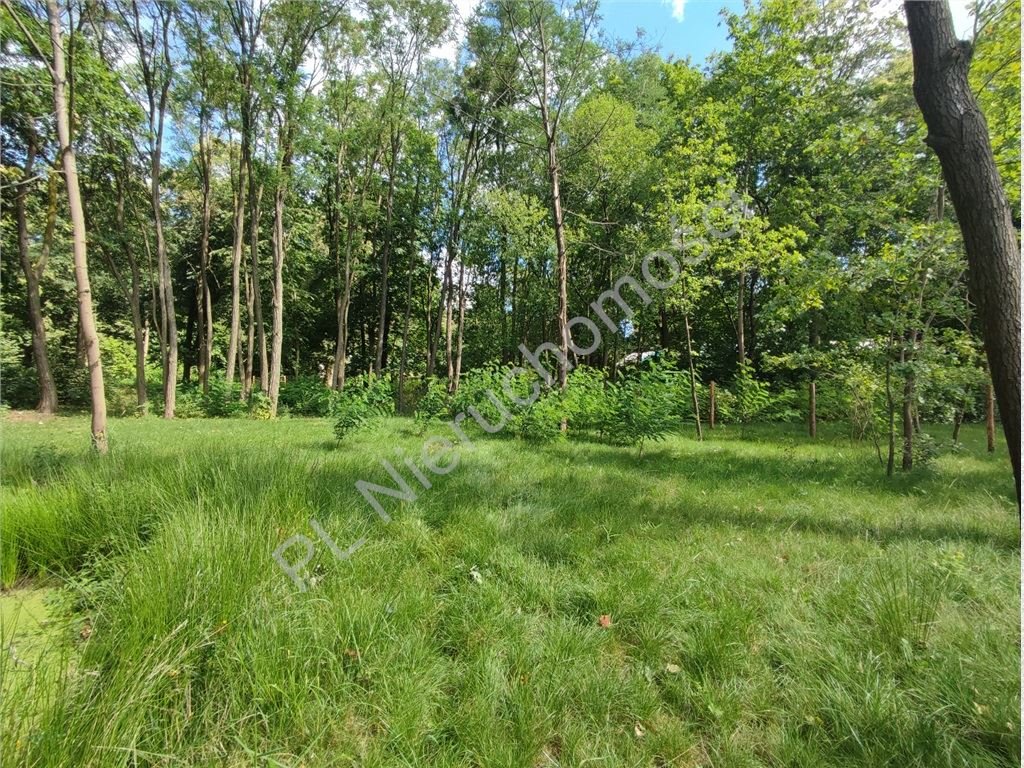 Przestronna, słoneczna działka w Podkowie Leśnej z mediami Podkowa Leśna  2 240m2 Foto 1