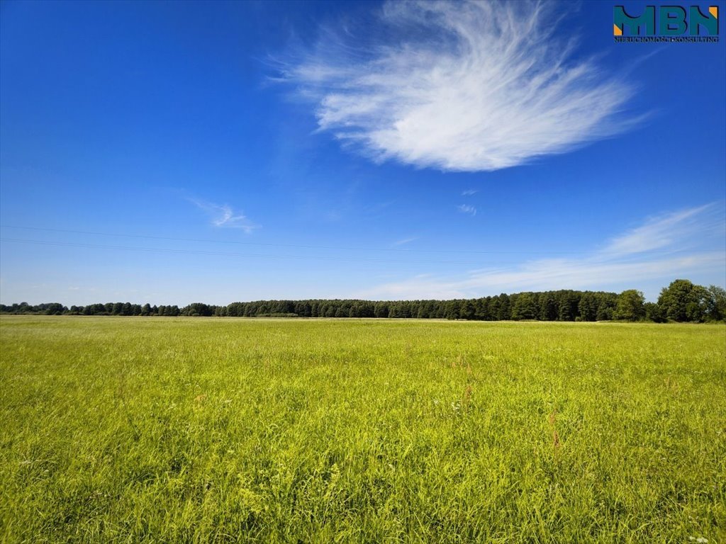 Działka budowlana na sprzedaż Harsz, Harsz  3 337m2 Foto 4