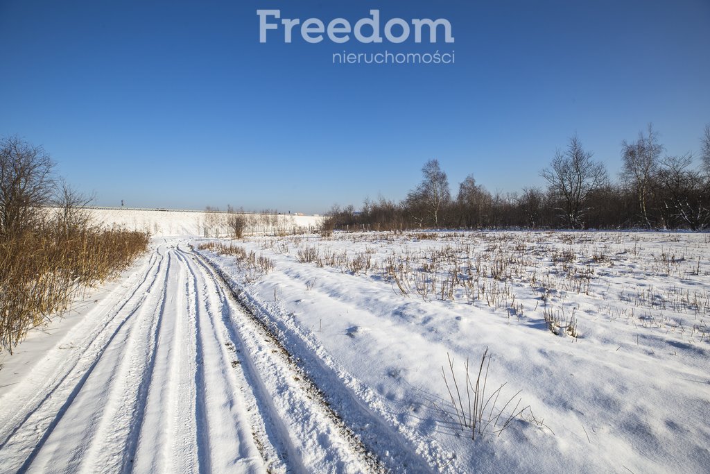 Działka inwestycyjna na sprzedaż Rudna Mała  3 181m2 Foto 14