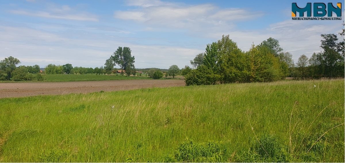 Działka budowlana na sprzedaż Kruklin, Kruklin  1 001m2 Foto 4