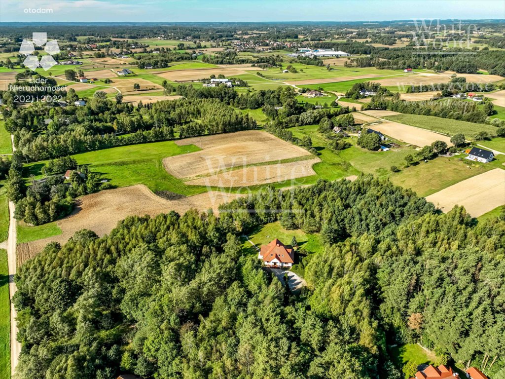 Działka rolna na sprzedaż Przodkowo  11 896m2 Foto 1