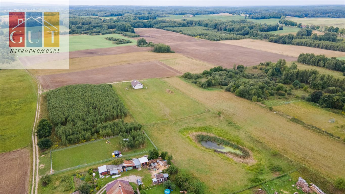 Działka budowlana na sprzedaż Elgnówko  2 538m2 Foto 14