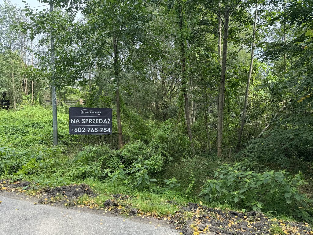 Działka budowlana na sprzedaż Borowina  1 900m2 Foto 1