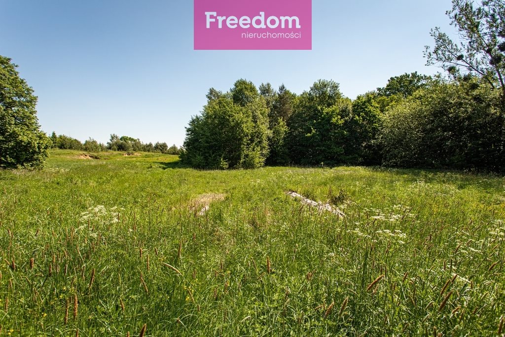 Działka siedliskowa na sprzedaż Graniczna Wieś, Jarzębinowa 6 000m2 Foto 1 Działka siedliskowa na sprzedaż Graniczna Wieś, Jarzębinowa 6 000m2 Foto 1