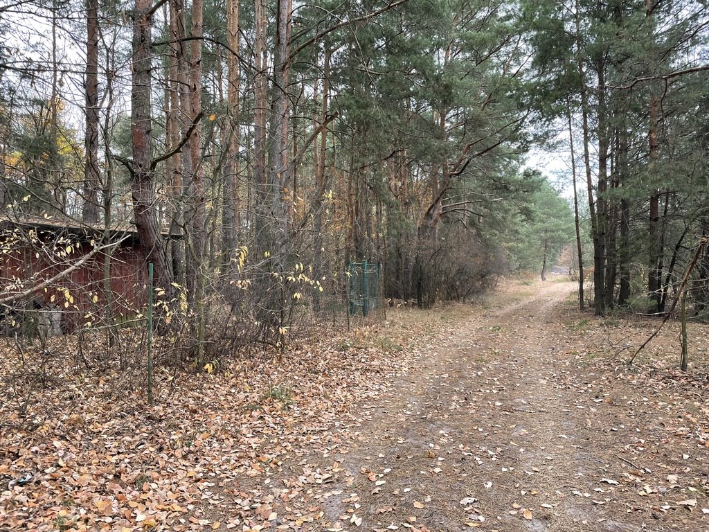 Działka rekreacyjna na sprzedaż Radzymin, Rejentówka  2 000m2 Foto 18