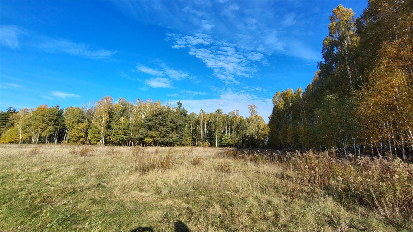 Działka budowlana na sprzedaż Brzozowica, Brzozowica  830m2 Foto 9