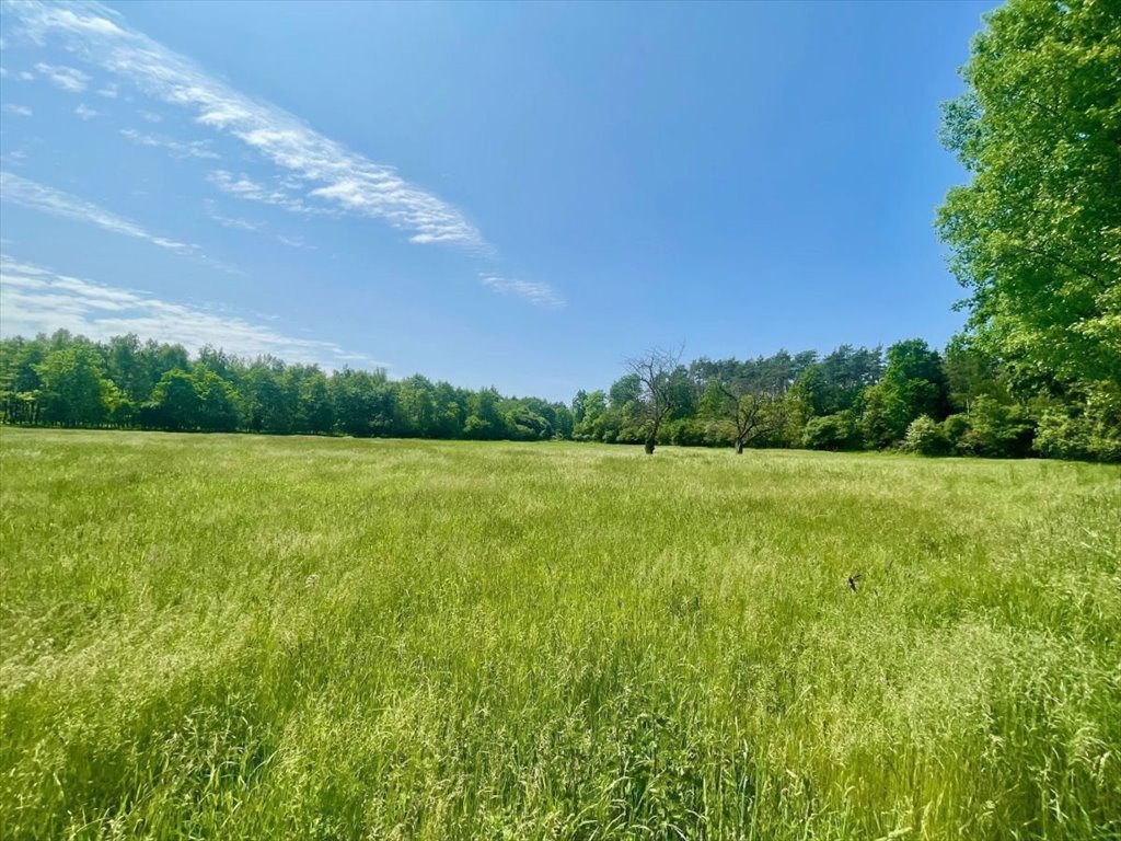 Działka budowlana na sprzedaż Bieczyny, Piękna  5 018m2 Foto 8