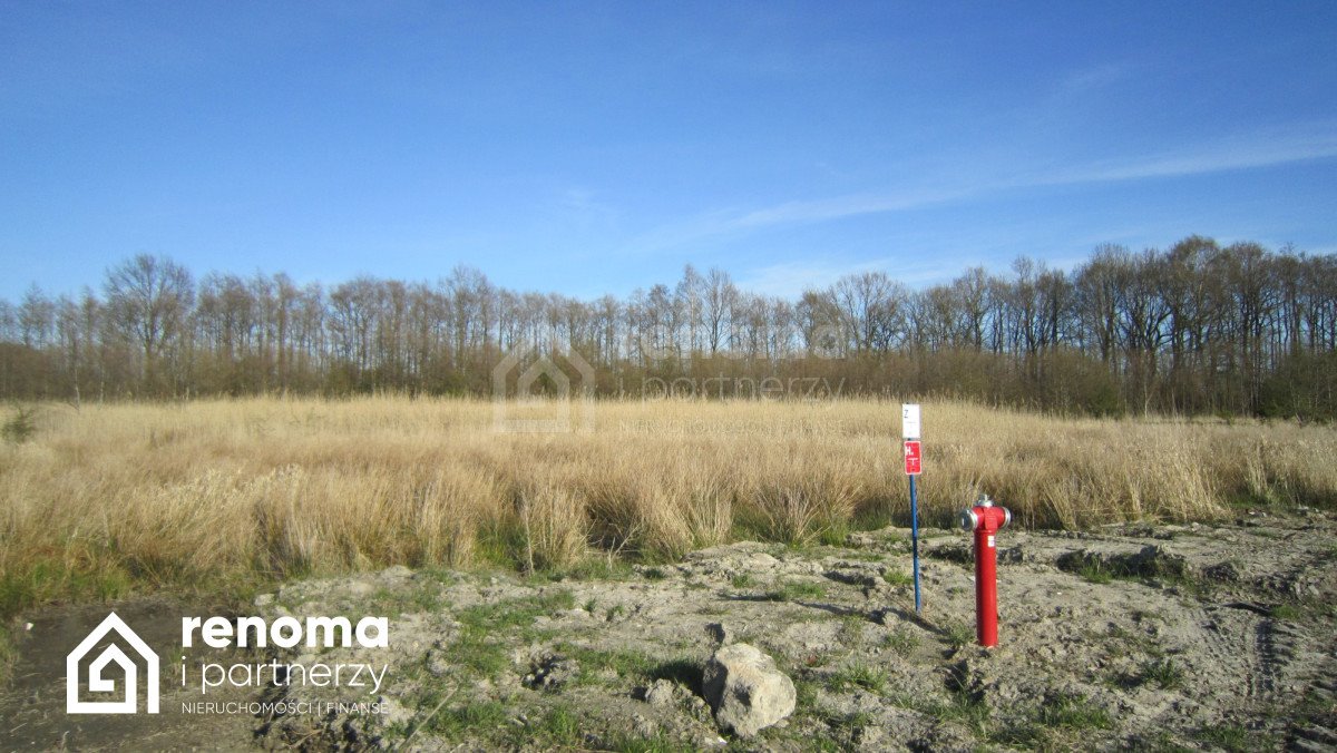 Działka budowlana na sprzedaż Strzeżenice  1 000m2 Foto 6