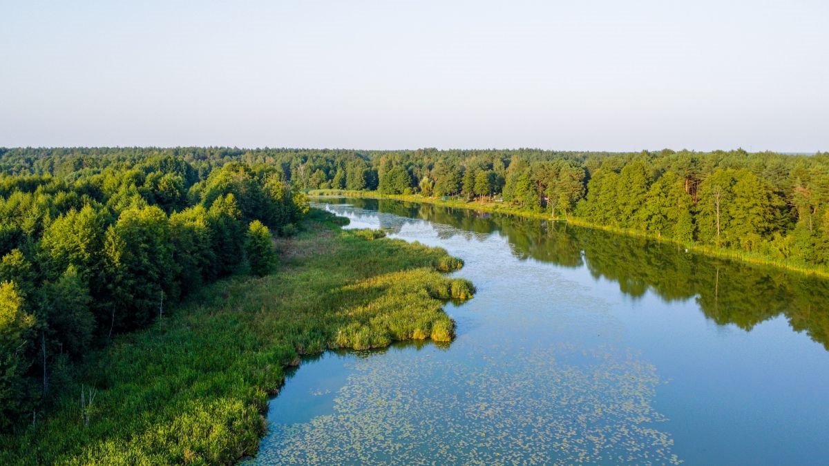 Działka inwestycyjna na sprzedaż Grądy Szlacheckie, Julianka  80 600m2 Foto 9