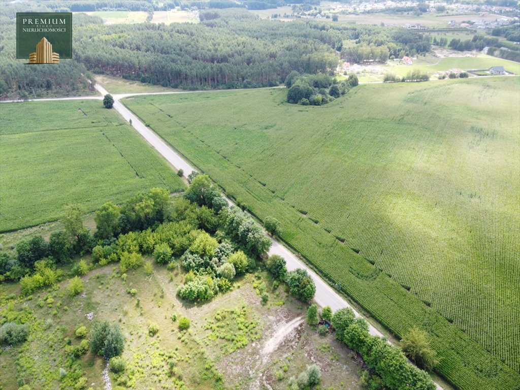 Działka rolna na sprzedaż Sobolewo  19 988m2 Foto 5