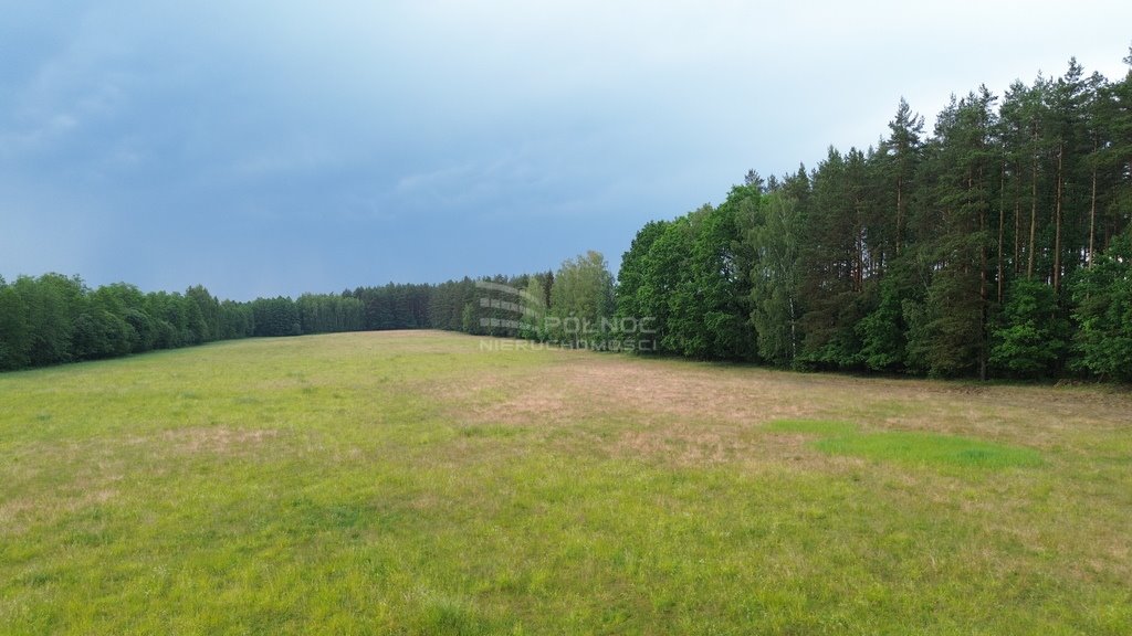 Działka leśna na sprzedaż Makosieje  60 900m2 Foto 6