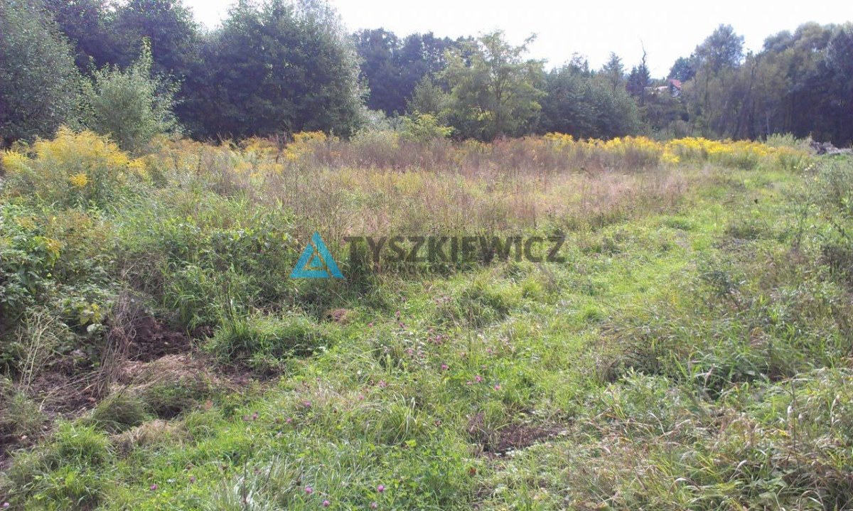 Działka budowlana na sprzedaż Otomin, Wrzosowa  13 551m2 Foto 6