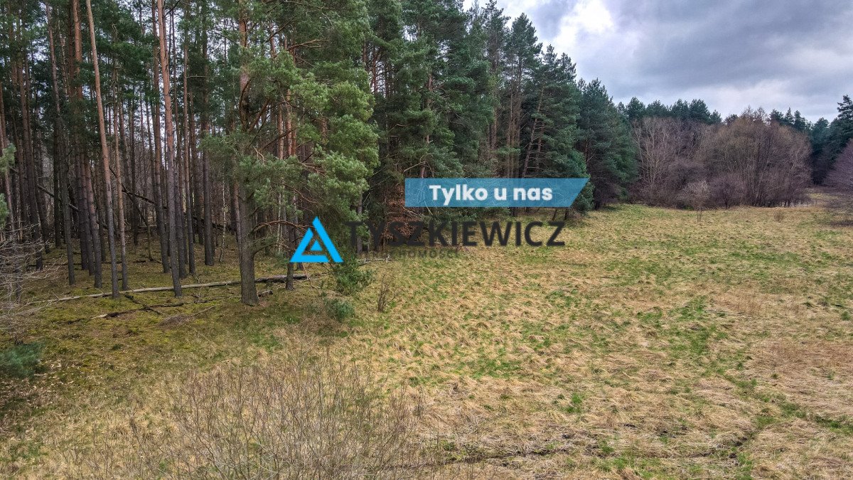 Działka budowlana na sprzedaż Gołębiewo Wielkie, Maciejki  7 500m2 Foto 1