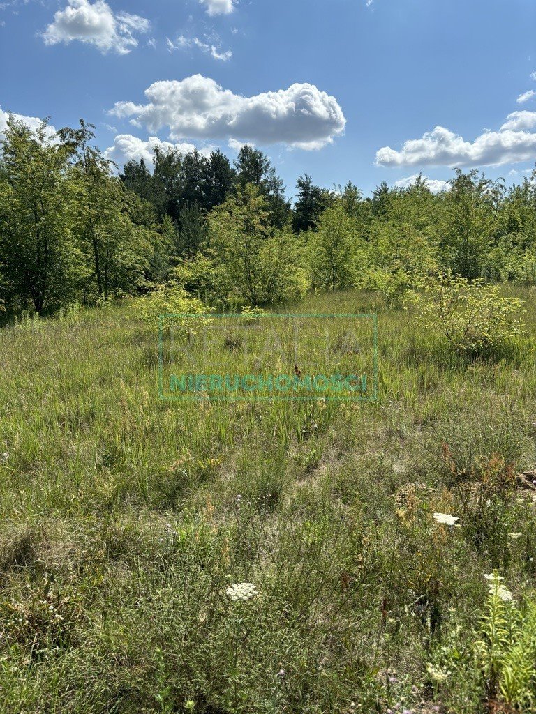 Działka budowlana na sprzedaż Jaktorów-Kolonia  2 121m2 Foto 5