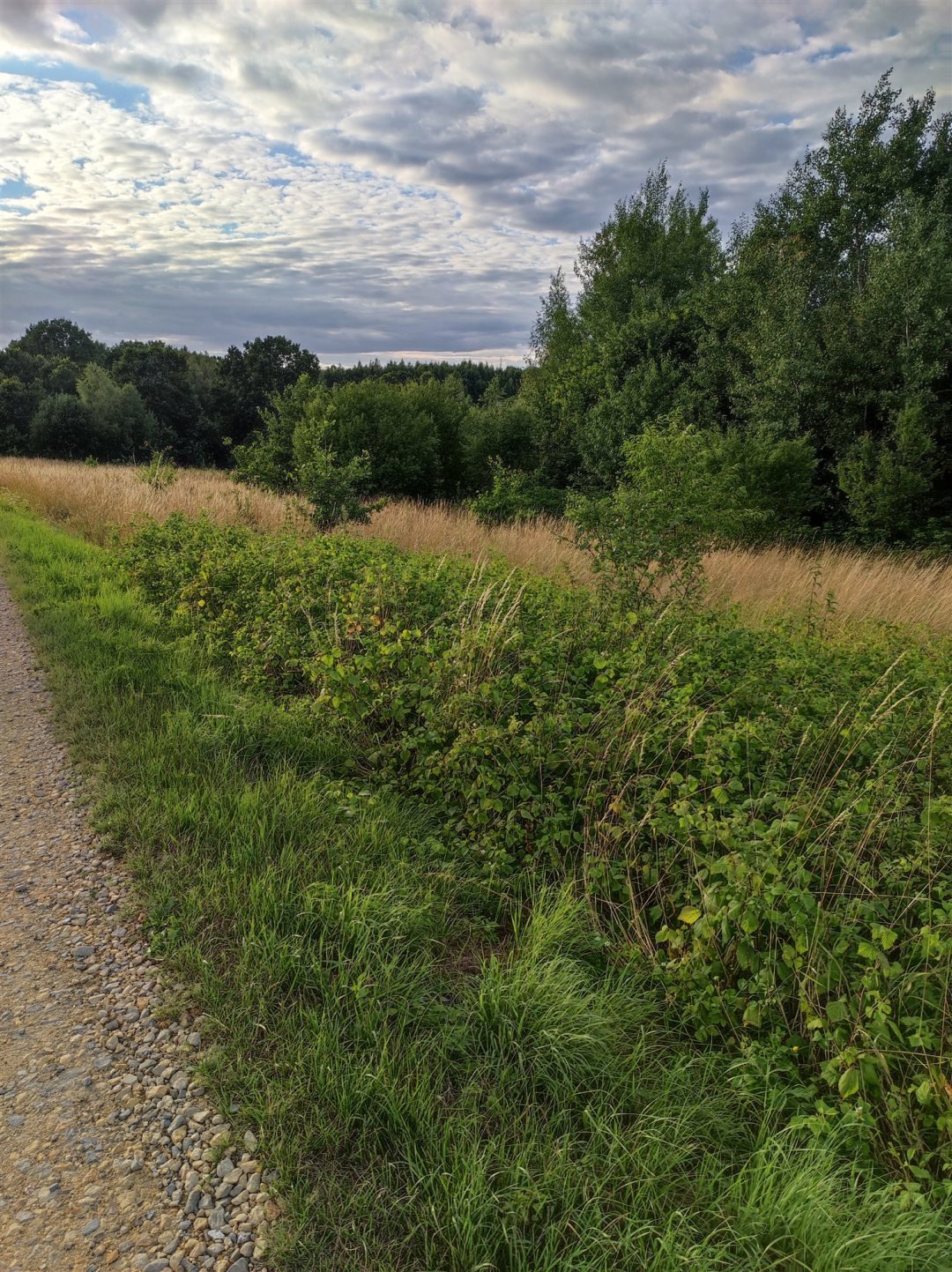 Działka budowlana na sprzedaż Poręba Spytkowska, Skalna  2 100m2 Foto 4