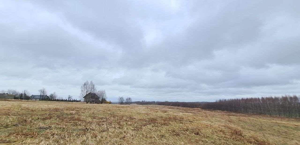 Działka siedliskowa na sprzedaż Wola Kalinowska, ul. Kaliski  1 200m2 Foto 1