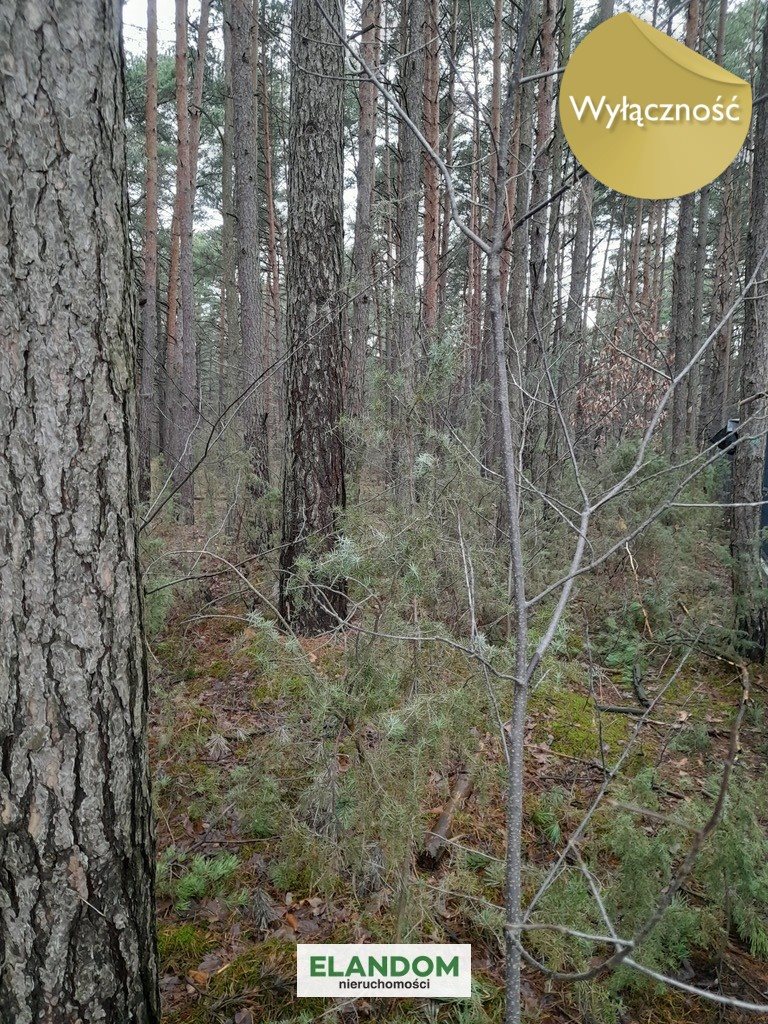 Działka leśna z prawem budowy na sprzedaż Józefów  3 043m2 Foto 1