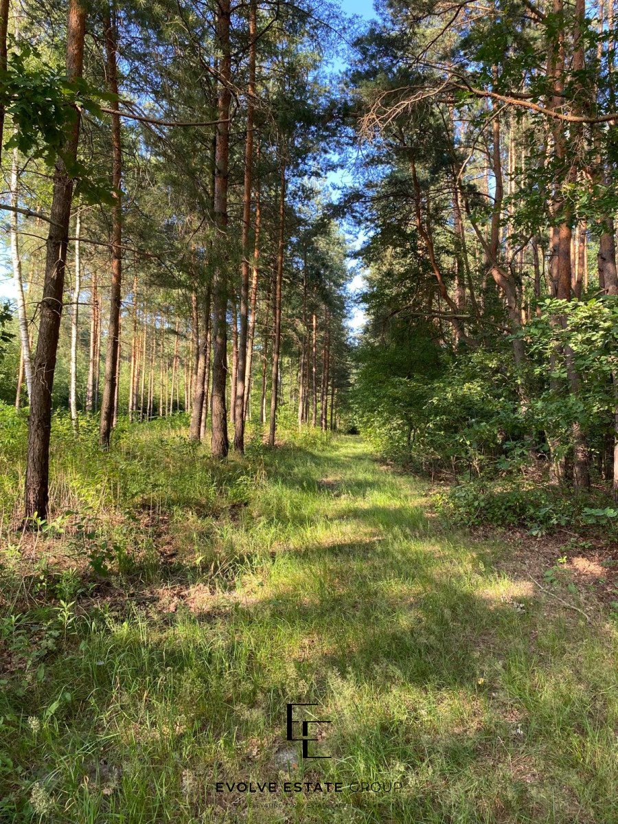 Działka inwestycyjna na sprzedaż Czarny Las  29 760m2 Foto 4