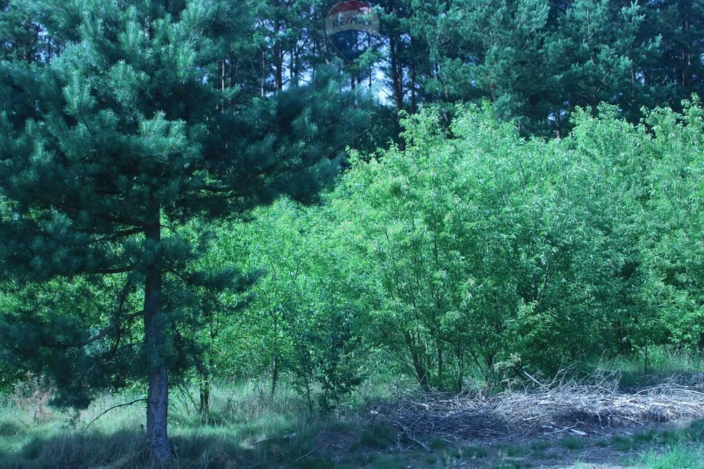 Działka budowlana na sprzedaż Podłęż  3 157m2 Foto 17