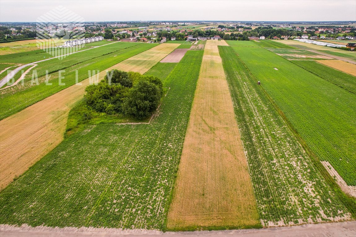 Działka przemysłowo-handlowa na sprzedaż Łady, Grudzi  4 157m2 Foto 2