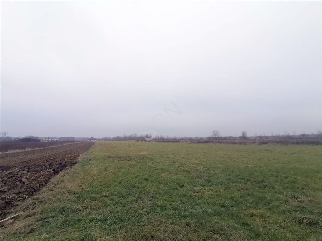 Działka budowlana na sprzedaż Czosnów  2 731m2 Foto 1