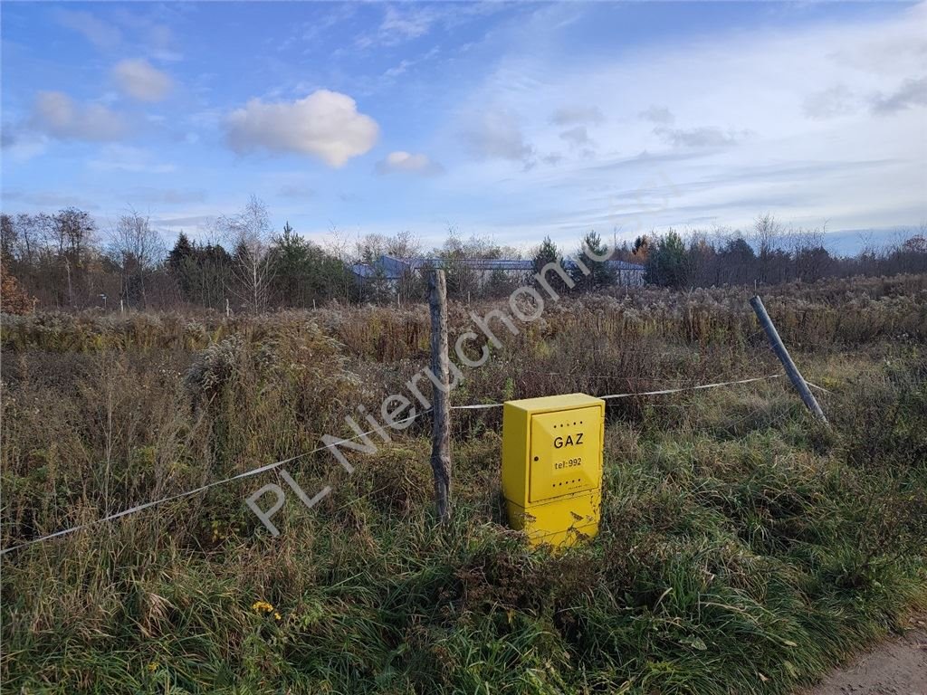 Działka budowlana na sprzedaż Żółwin  1 000m2 Foto 3