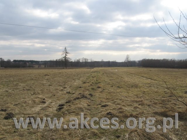Działka inna na sprzedaż Nowe Osiny  50 000m2 Foto 1