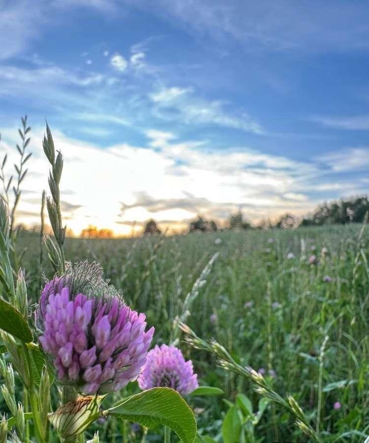 Działka budowlana na sprzedaż Chmielno  89 435m2 Foto 3