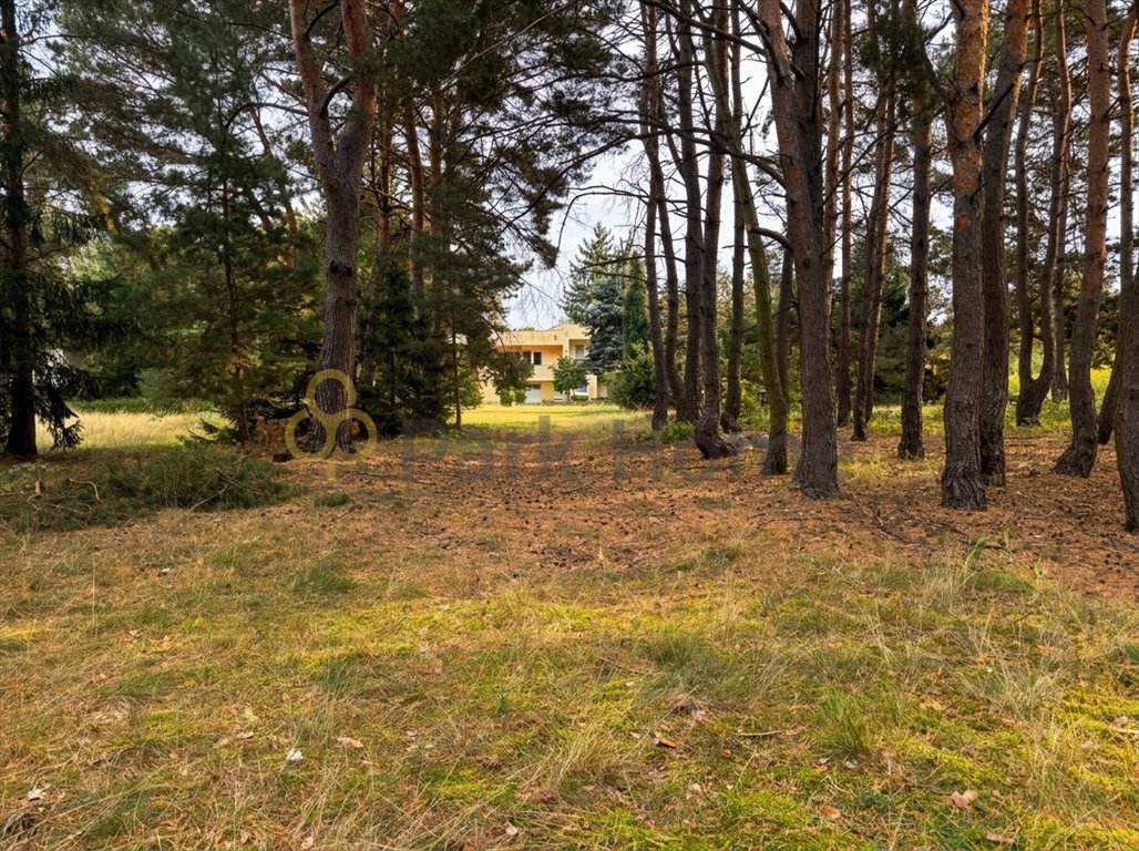 Dom 240 m² w Radzewicach z dużą działką zapraszam Radzewice  240m2 Foto 1
