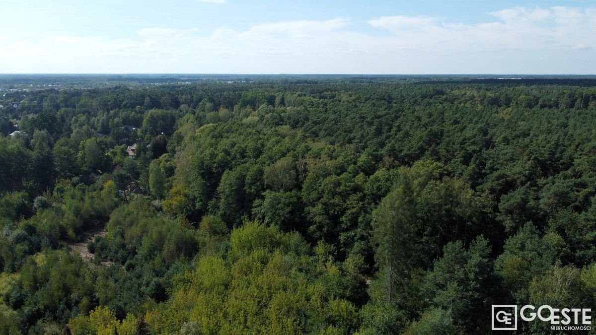 Działka inna na sprzedaż Łazy, Podleśna  7 100m2 Foto 2