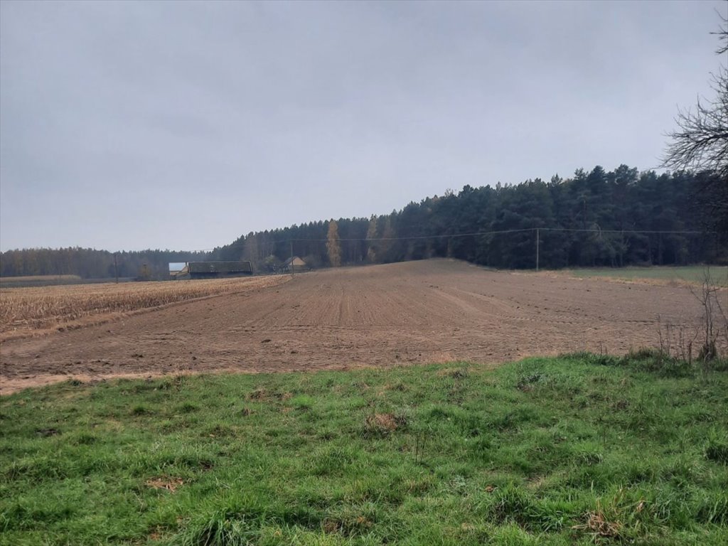 Działka siedliskowa na sprzedaż Knyszyn  71 131m2 Foto 1