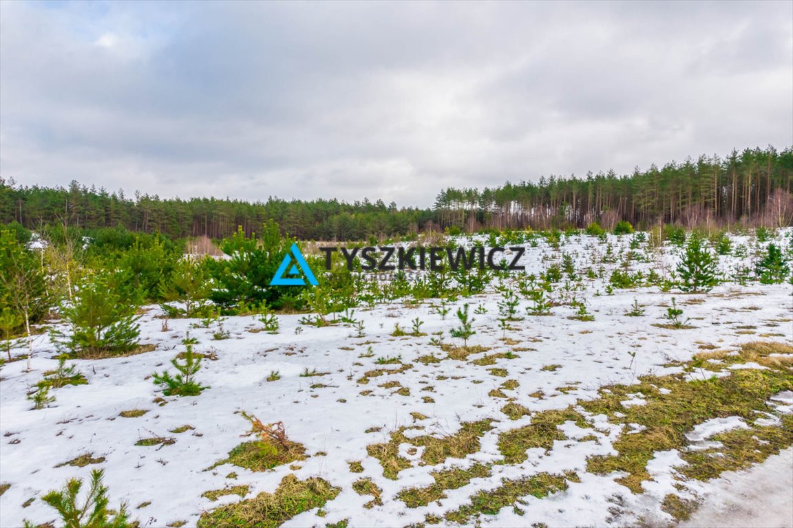 Działka budowlana na sprzedaż Nowa Kiszewa  1 047m2 Foto 1