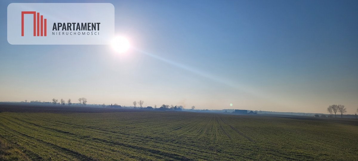 Działka gospodarstwo rolne na sprzedaż Będzitówek  16 400m2 Foto 2