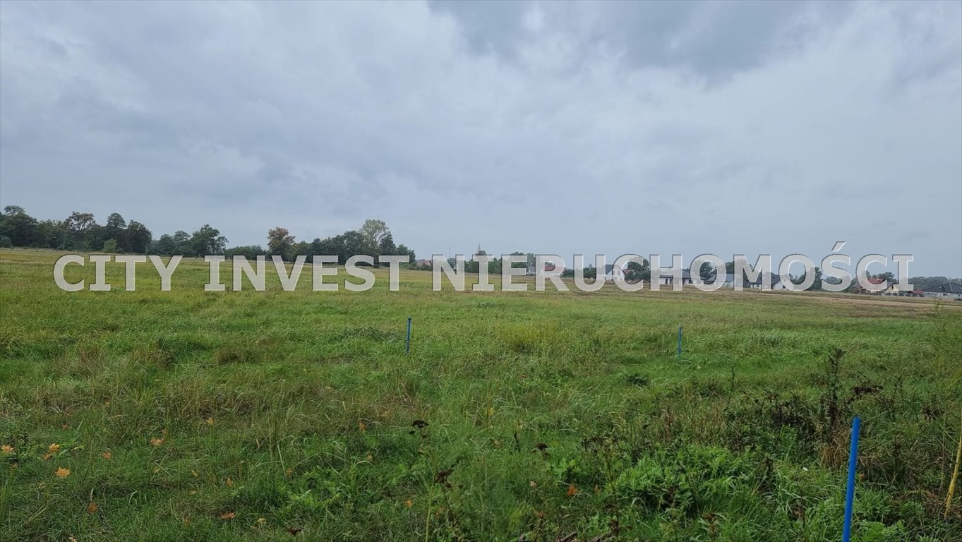 Działka inna na sprzedaż Zielona Góra, Zatonie  3 032m2 Foto 1