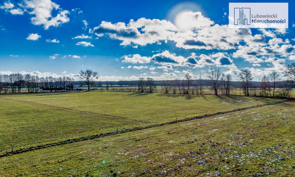 Działka budowlana na sprzedaż Wyżegi  1 794m2 Foto 12