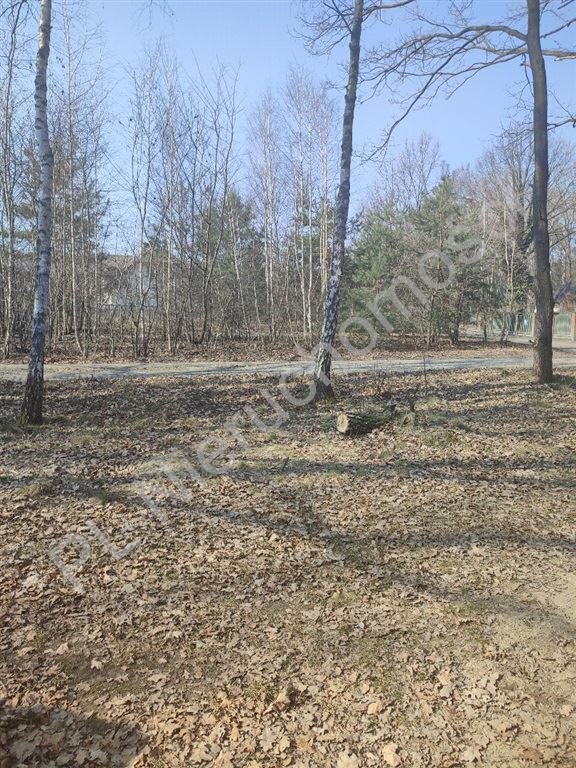 Działka 3717 m2 z lasem w Milanówku - warunki zabudowy Milanówek  3 717m2 Foto 1