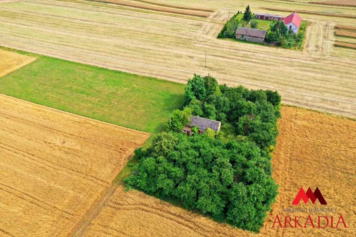 Działka budowlana na sprzedaż Kamienne Brody  5 086m2 Foto 4