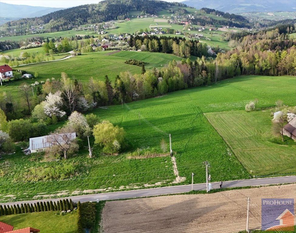 Działka budowlana na sprzedaż Stara Wieś  14 000m2 Foto 9