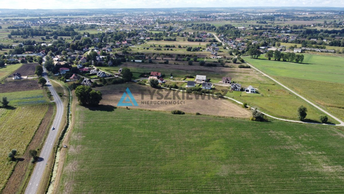 Działka rolna na sprzedaż Rokitnica, Ogrodowa  4 262m2 Foto 4
