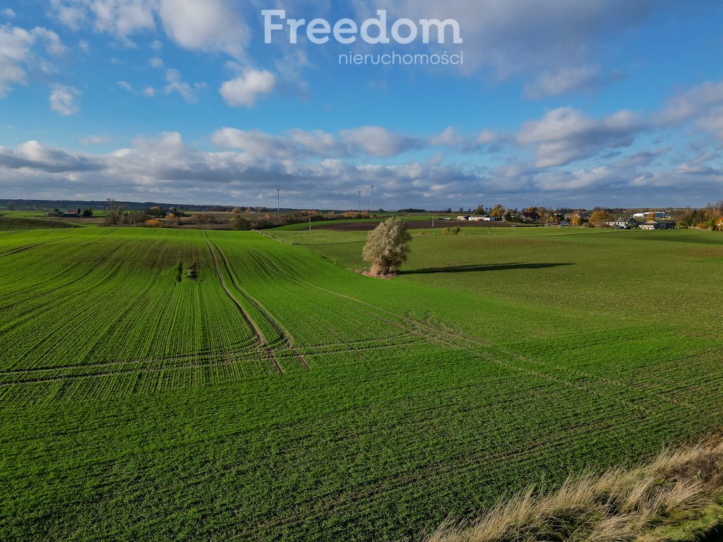 Działka inna na sprzedaż Laseczno, Laseczno Małe  3 001m2 Foto 2