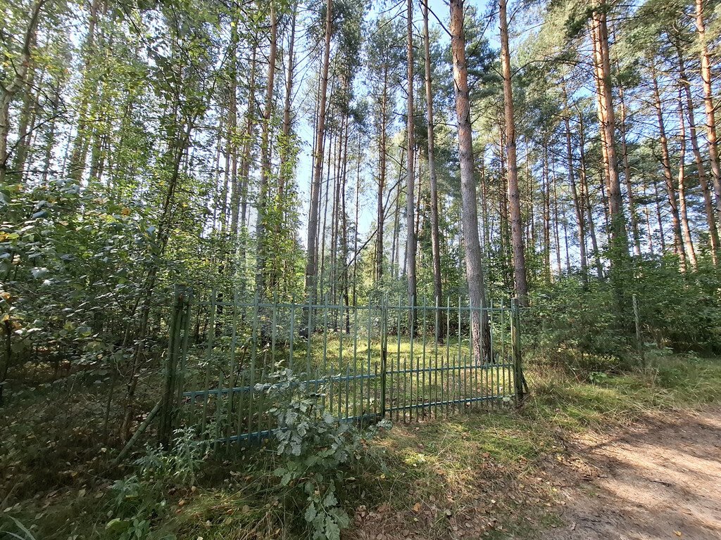 Działka rekreacyjna na sprzedaż Wysoka Lelowska  2 321m2 Foto 1