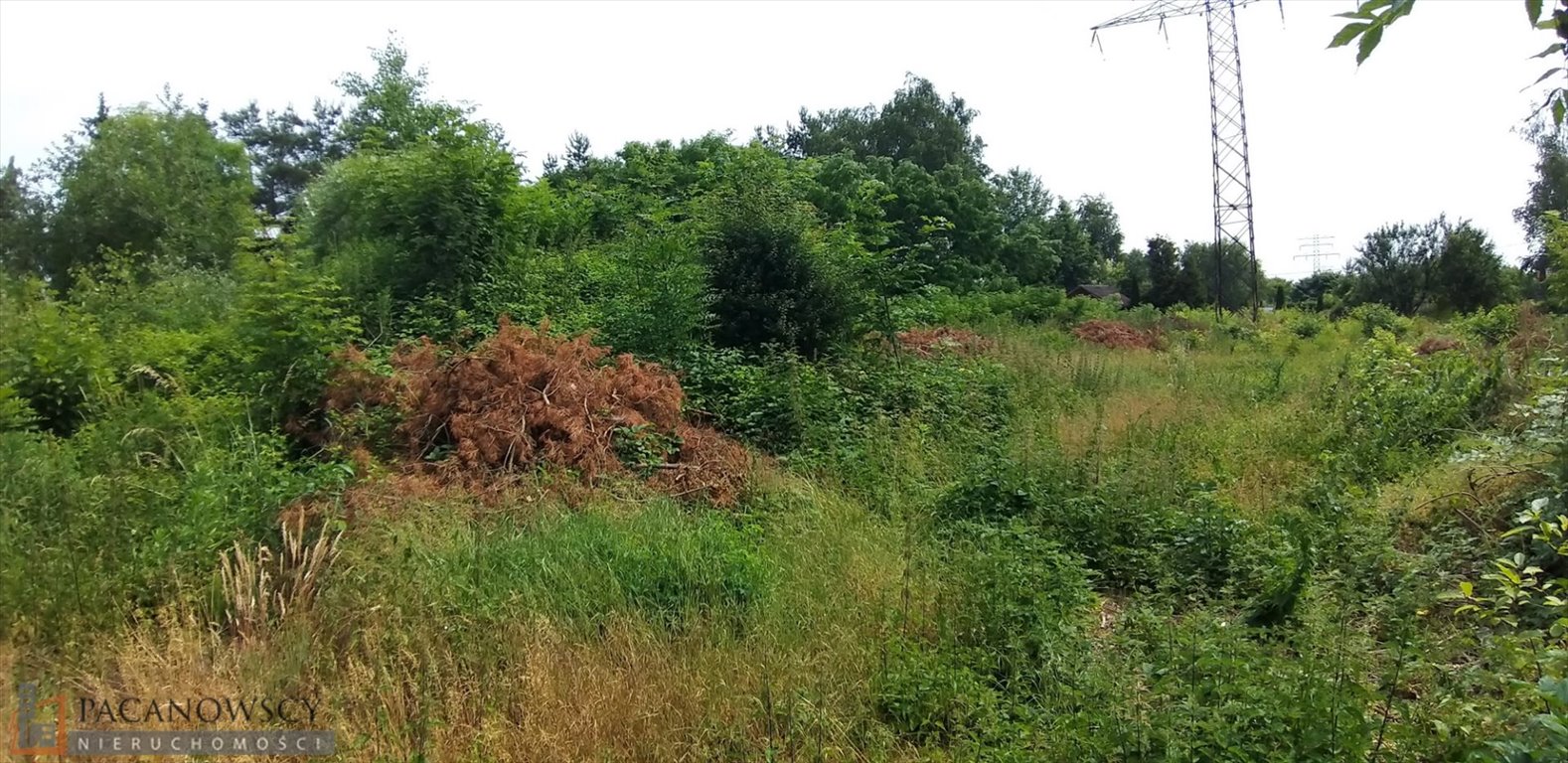 Działka budowlana na sprzedaż Brzezie  3 300m2 Foto 1