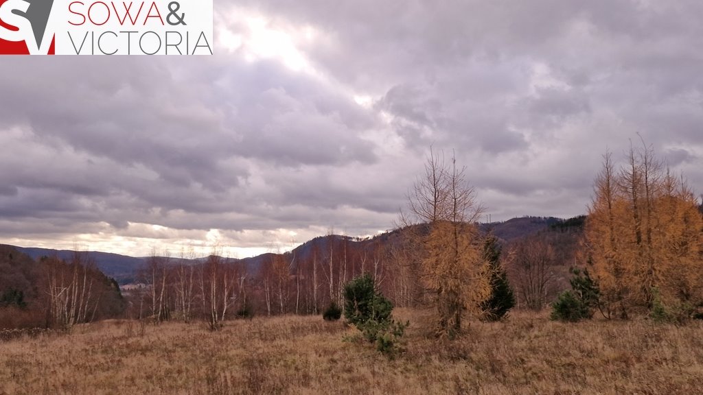 Działka budowlana na sprzedaż Jedlina-Zdrój  21 151m2 Foto 13