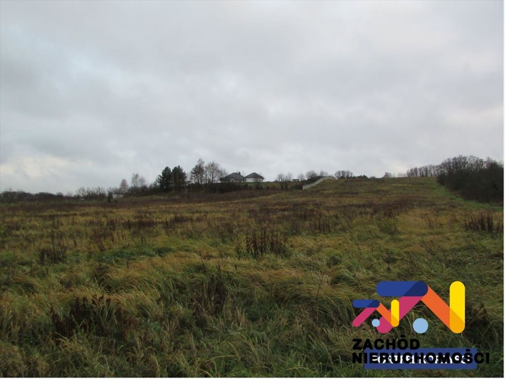 Działka pod zabudowę w Drzonkowie, 6281 m², media Zielona Góra, Drzonków  6 281m2 Foto 1