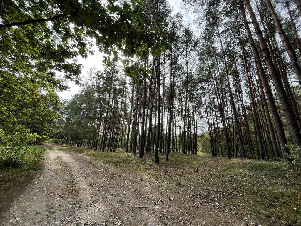 Działka rolna 5500 m² z lasem w Pustelniku polecam Pustelnik  5 500m2 Foto 1