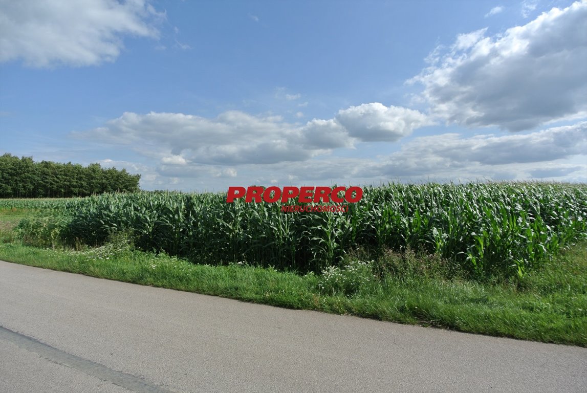 Działka 11 000 m² z warunkami zabudowy i asfaltowym dojazdem Łatanice  11 000m2 Foto 1