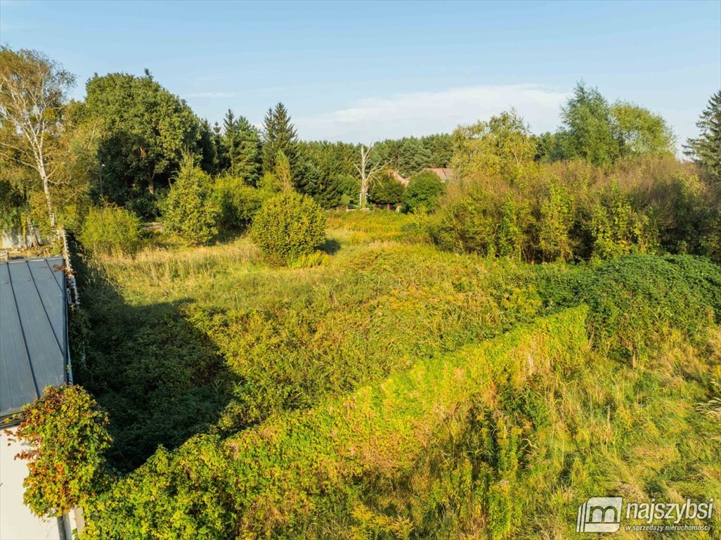 Działka budowlana na sprzedaż Sławociesze, Rozdroże  2 530m2 Foto 10