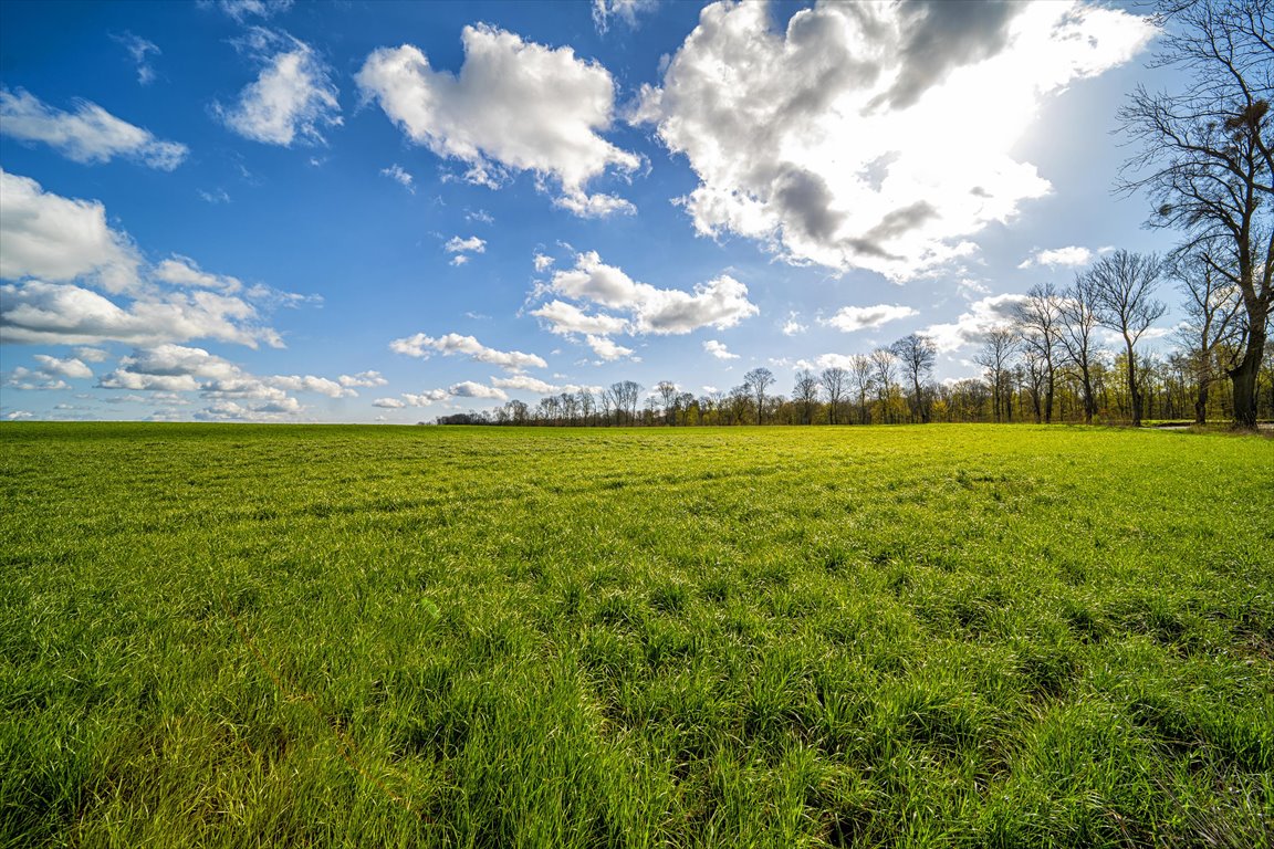 Działka budowlana na sprzedaż Balewo, Ostatnie wolne działki 100 m od jeziora!  668m2 Foto 5