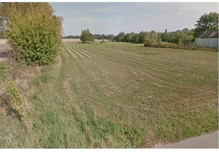 Działka siedliskowa 3,5 ha z budynkiem i mediami Pomianowo  35 000m2 Foto 1